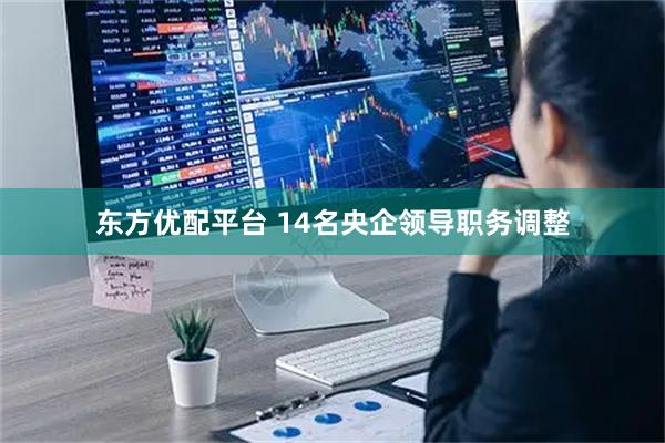 东方优配平台 14名央企领导职务调整